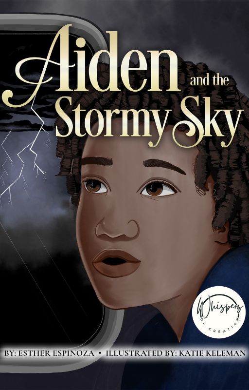 aiden & the stormy sky